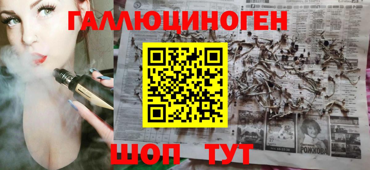 Псилоцибиновые грибы Cubensis Мариинск